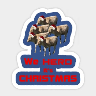 herd of calves Sticker